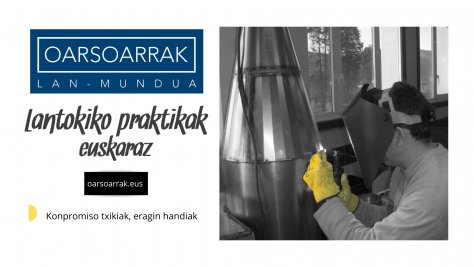 Lantokiko praktikak euskaraz egiteko aukera Oarsoaldean