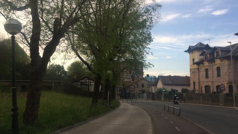 Trabajos de mantenimiento en los árboles de Jaizkibel hiribidea para garantizar la seguridad ciudadana