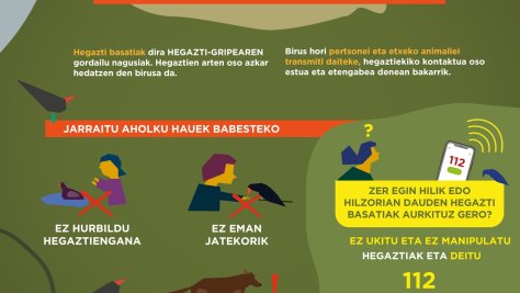 Hegazti-gripea ekiditeko gomendioak