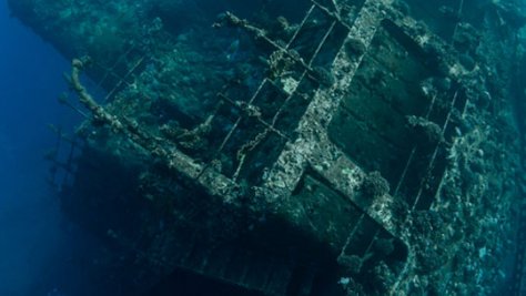 Ciclo de Cine Submarino Familiar
