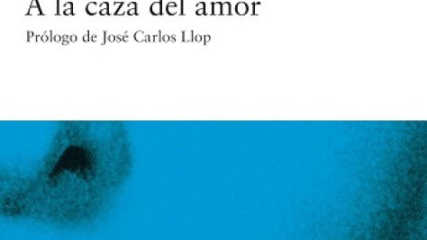 A la caza del amor