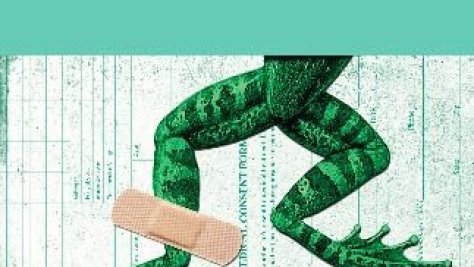 ¿Quién se hará cargo del hospital de ranas?