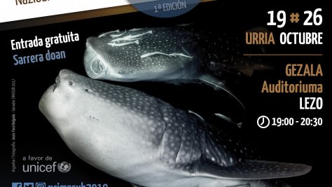 Urriaren 19an eta 26an Nazioarteko Itsaspeko Zinema Zikloa izango da ikusgai Lezon
