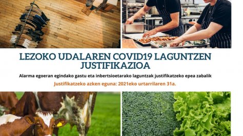Plazo de justificación