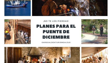 Planes para el puente de diciembre 