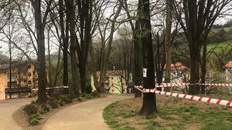 Landaketak Markesanen berdegunea hobetzeko  