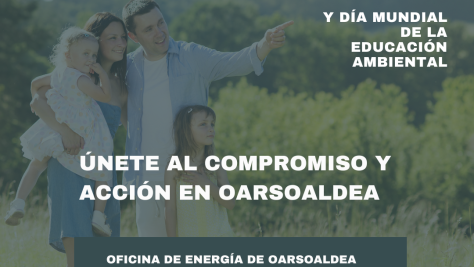 Día internacional de la energia limpia