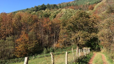 El Pleno del Ayuntamiento ha aprobado el inventario de caminos públicos de Lezo