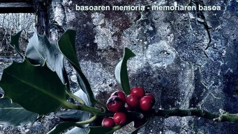 Lur urratua, basoaren memoria ─ memoriaren basoa