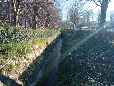 Se va a renaturalizar el rio Lopene