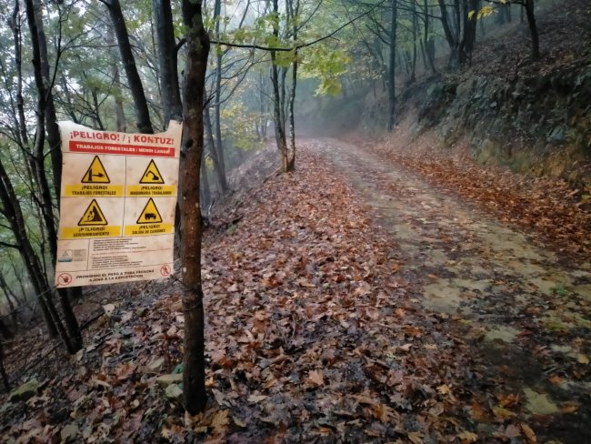 Trabajos forestales en Jaizkibel