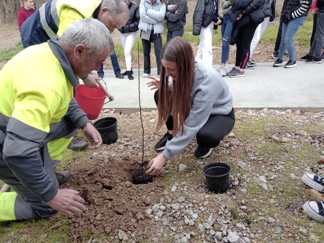 Alumnos y alumnas de 4º curso de Lezo Institutua realizan una plantación simbólica de árboles en el Parque de Altamira   